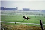 Manchester Racecourse